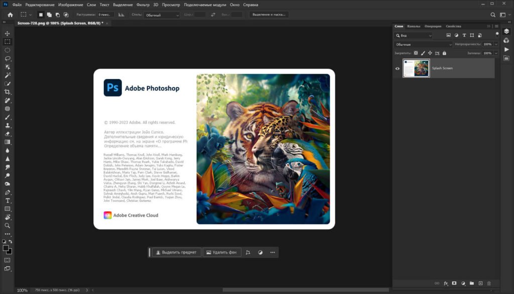 Adobe Photoshop 2024