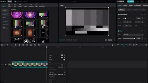 Capcut Pro