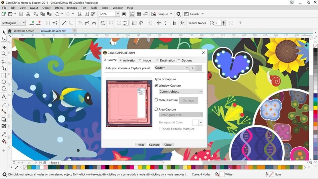 Corel Draw 2019