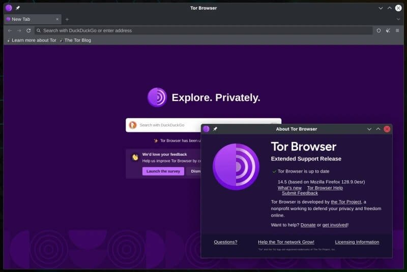 Baixar Tor Browser Crackeado Portugues