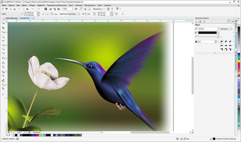Corel Draw