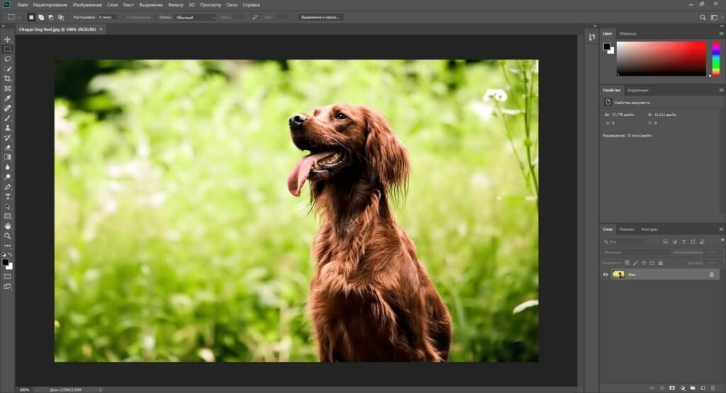 Baixar Adobe CC 2019 Crackeado Portugues